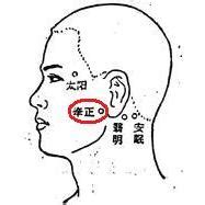 牽正穴|牽正穴丨經外奇穴丨經脈穴位